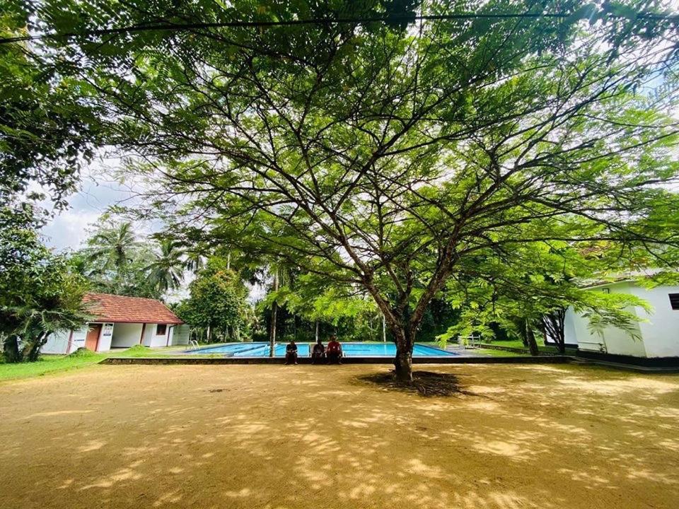 Randiyaepiliyagoda Resort Ависсавелла Экстерьер фото