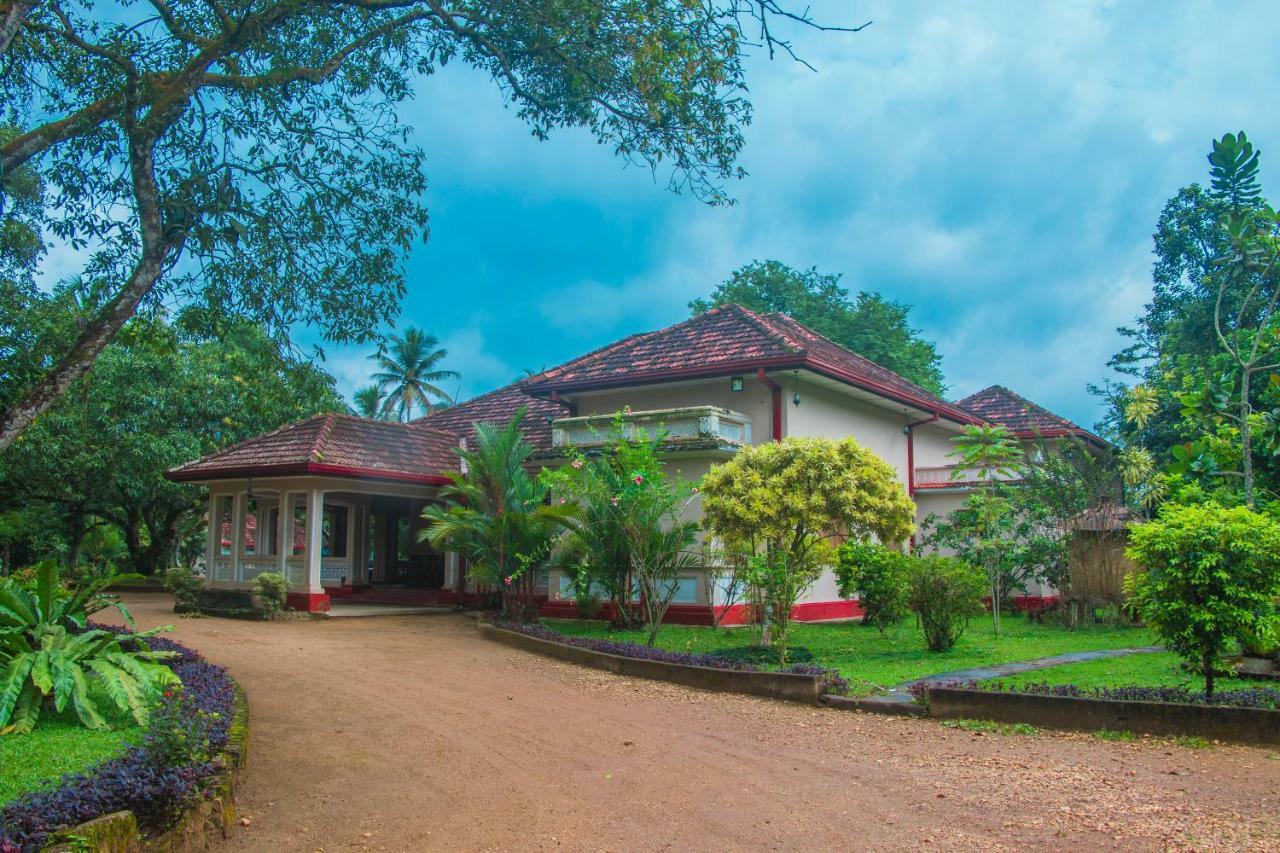 Randiyaepiliyagoda Resort Ависсавелла Экстерьер фото